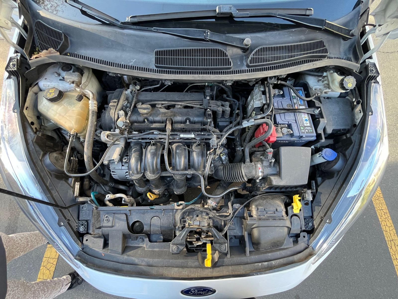 Ford Fiesta — foto 22 de 23