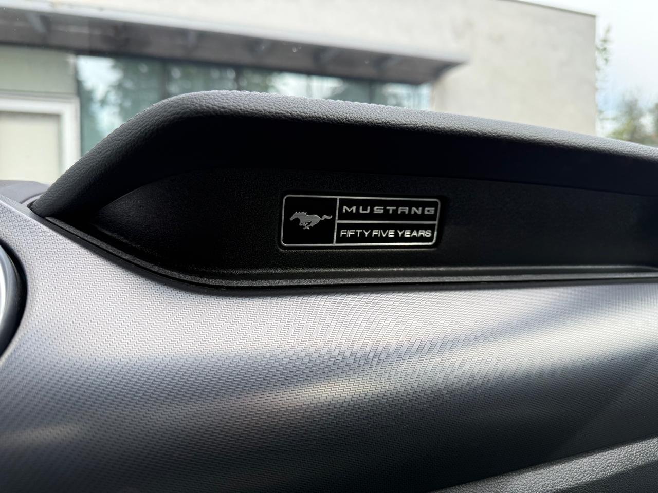 Ford Mustang — foto 21 de 25