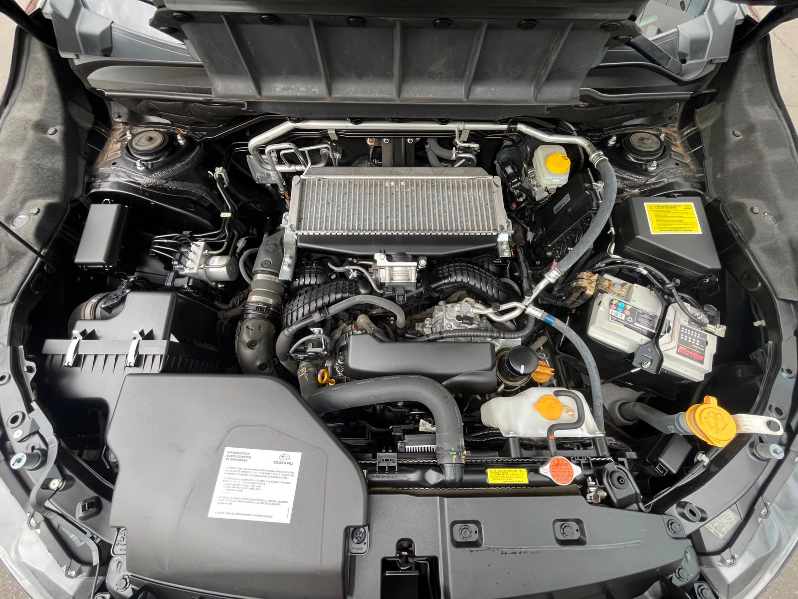 Subaru Evoltis — foto 29 de 32