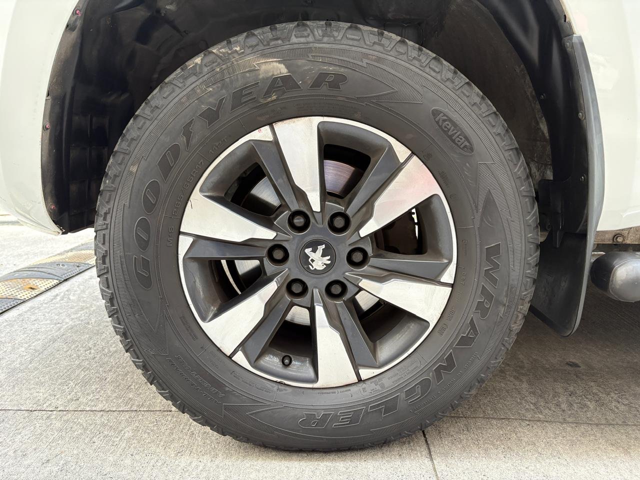Peugeot Landtrek — foto 19 de 26